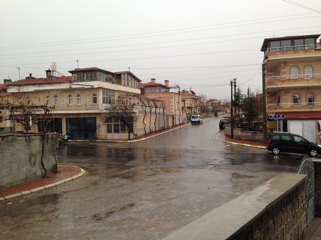 Tesla Marks Significant 2024 Achievements, Extols Workforce for Sustained Triumphs