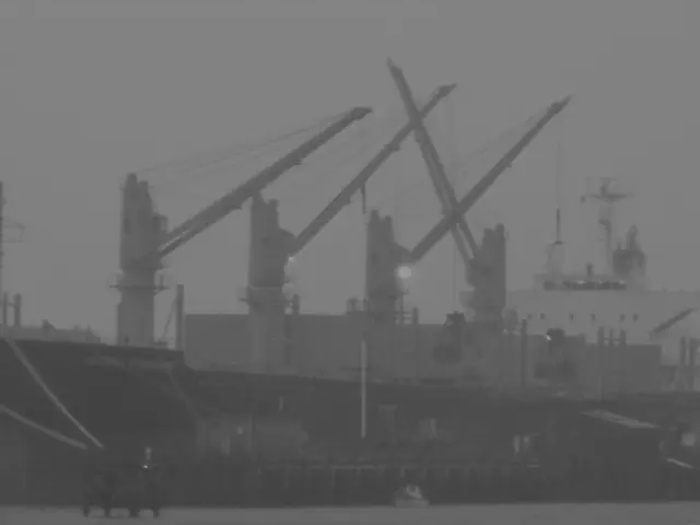 Three individuals taken into custody on a cruise ship following the collapse of a fraudulent...