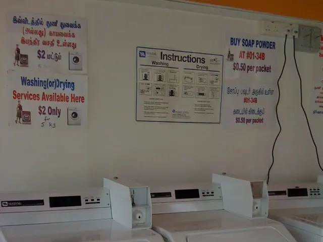 "Roman Power refers to a type of gambling device, specifically a slot machine"