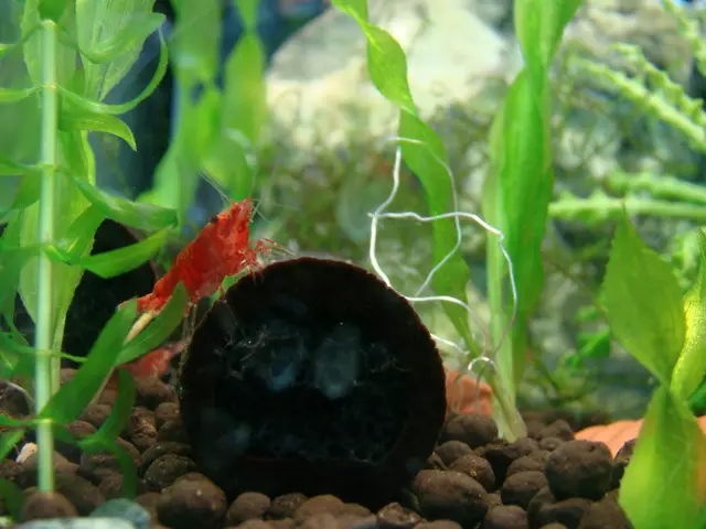 Researchers Successfully Engineer Artificial Life Form Altering Fundamental Genetic Blueprint